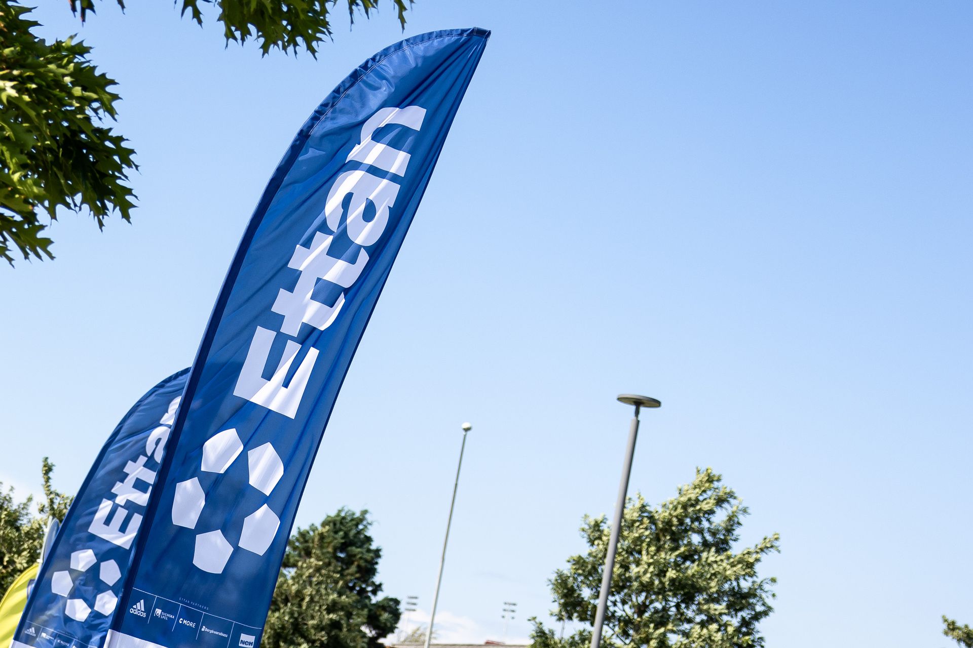 Ettanfotboll uppgraderar organisationen