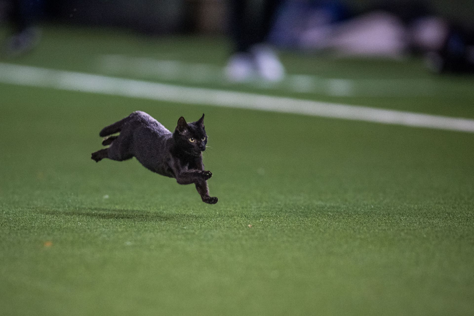 Gästblogg: fotbollströjor, gamla foton och Schrödingers katt